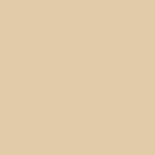 BEIGE C